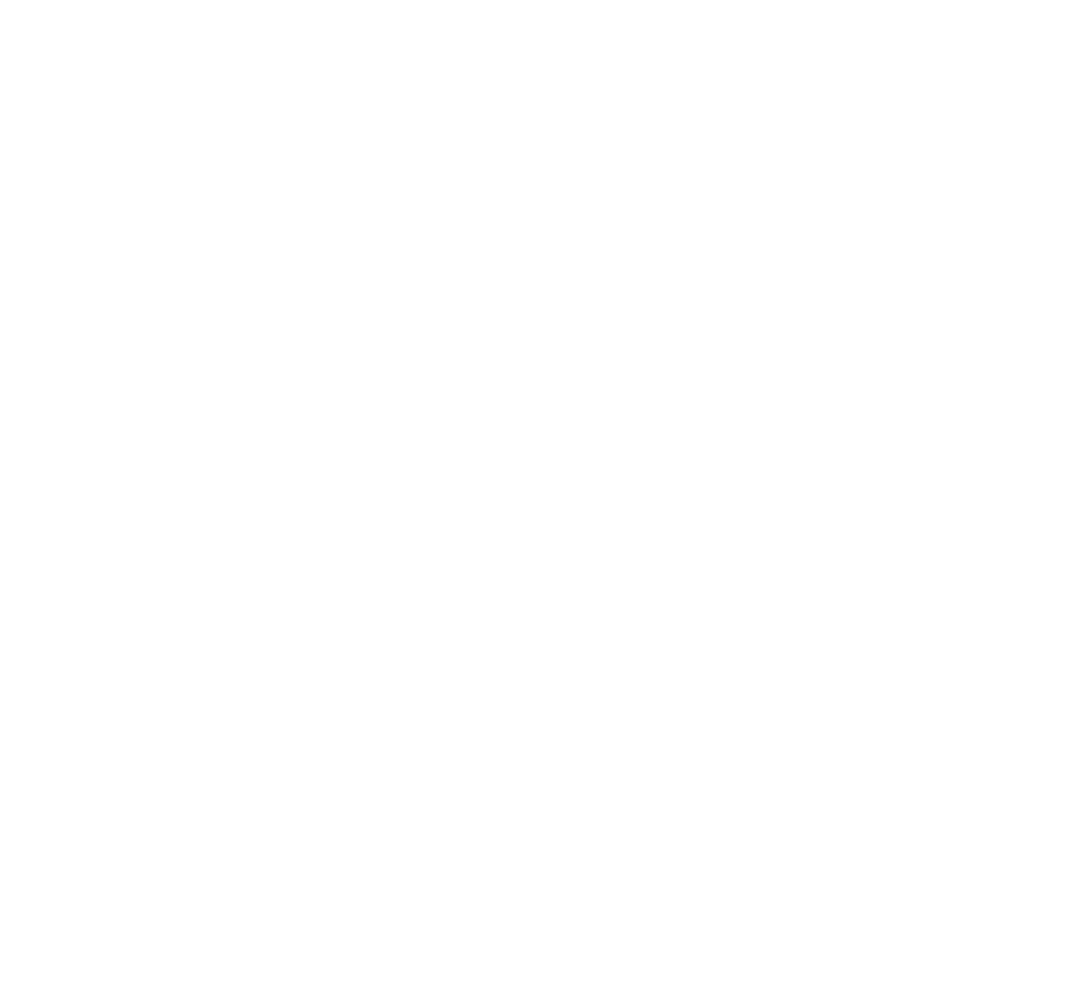 paypal transparent