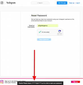 forgot instagram password please check email notification