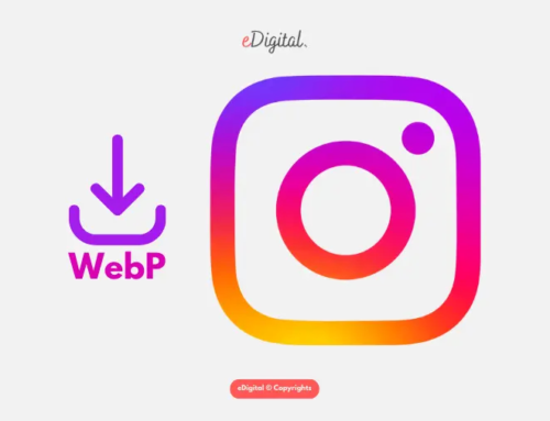 THE NEW INSTAGRAM LOGO WEBP IN 2025