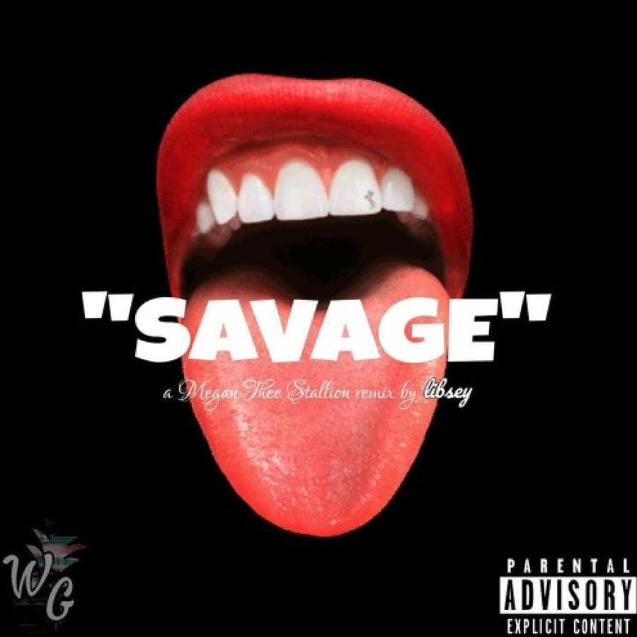 Savage by Megan thee Stallion popular song on TikTok