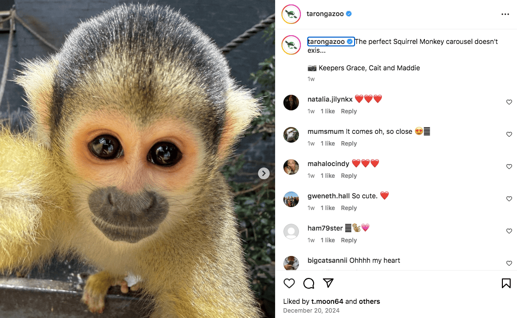 Taronga Zoo one of the most popular NSW Government accounts on Instagram