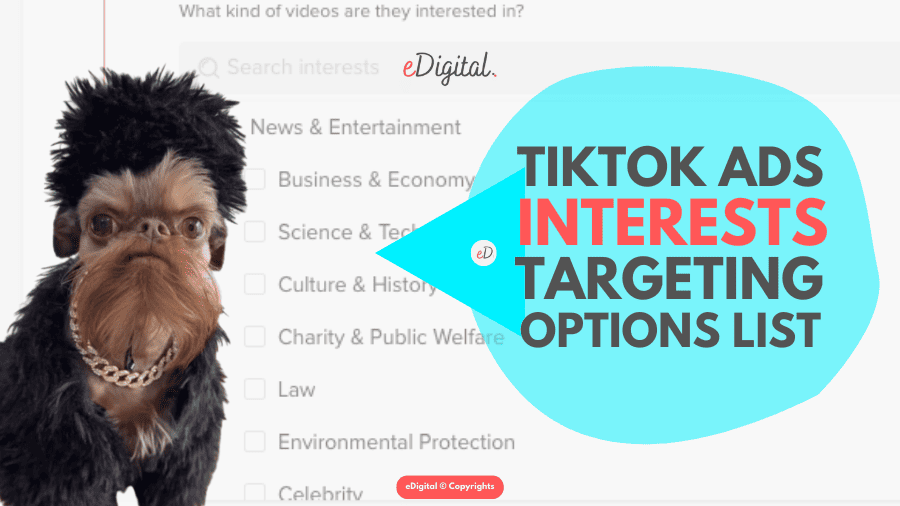 TikToK advertising interest targeting options Lists