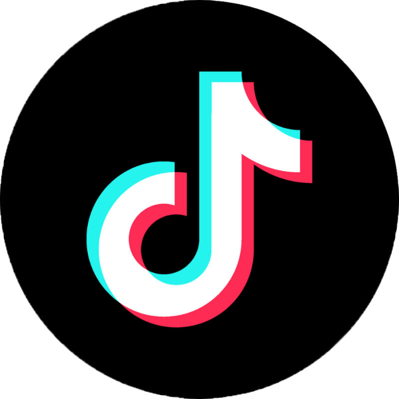 THE TIKTOK LOGO CIRCLE IN 2024 - eDigital Agency