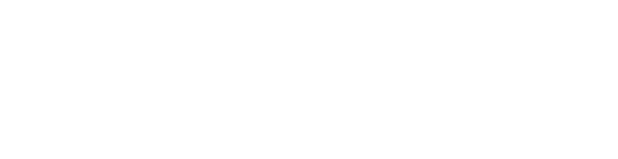 TikTok logo white PNG large horizontal