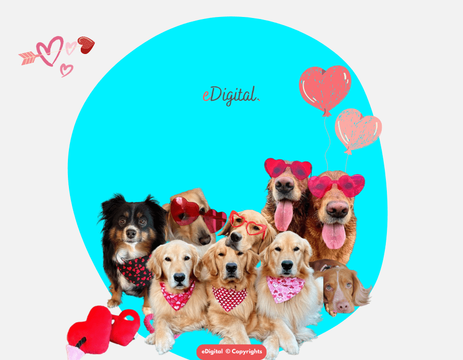 Valentine’s Day dogs