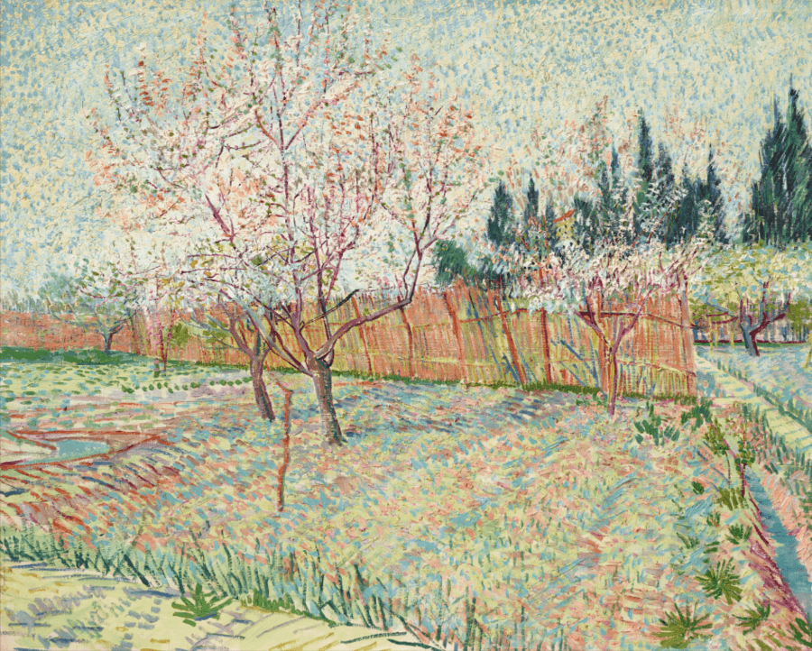 Verger avec cyprès Vincent van Gogh