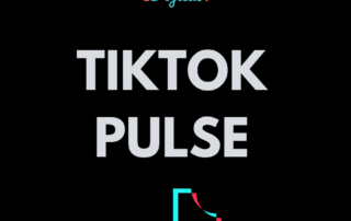 What is the TikTok Pulse program?
