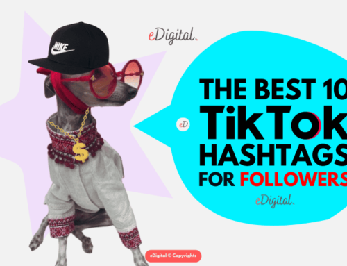 THE BEST 10 TIKTOK HASHTAGS FOR FOLLOWERS