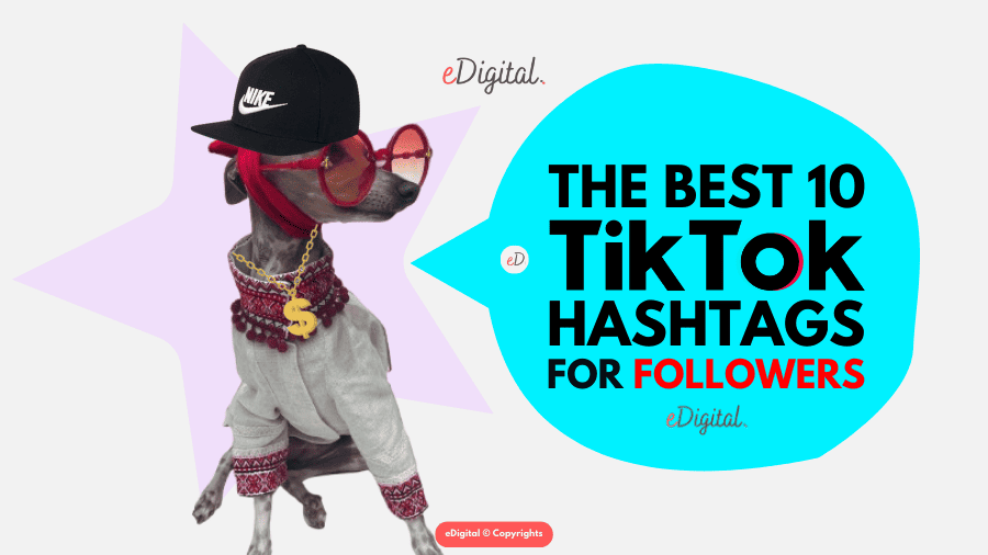 best TikTok hashtags for follewers