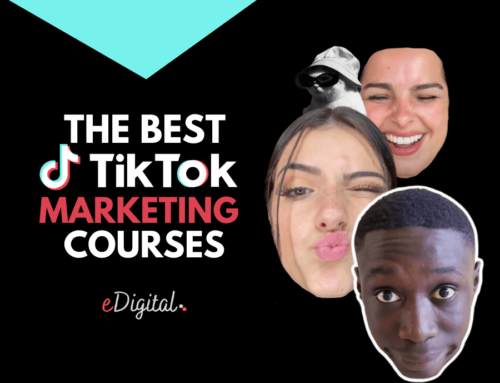 THE BEST TIKTOK MARKETING COURSES IN 2024