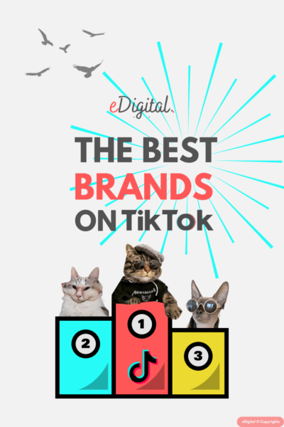 THE BEST 10 BRANDS ON TIKTOK IN 2024 - EDigital Agency