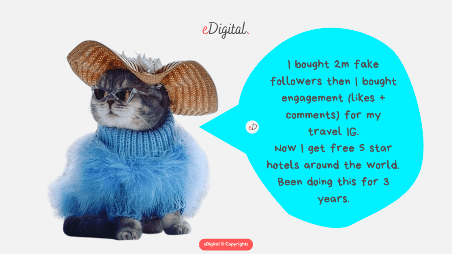 cat uses Instagram bots to buy fake followers for travel account funny