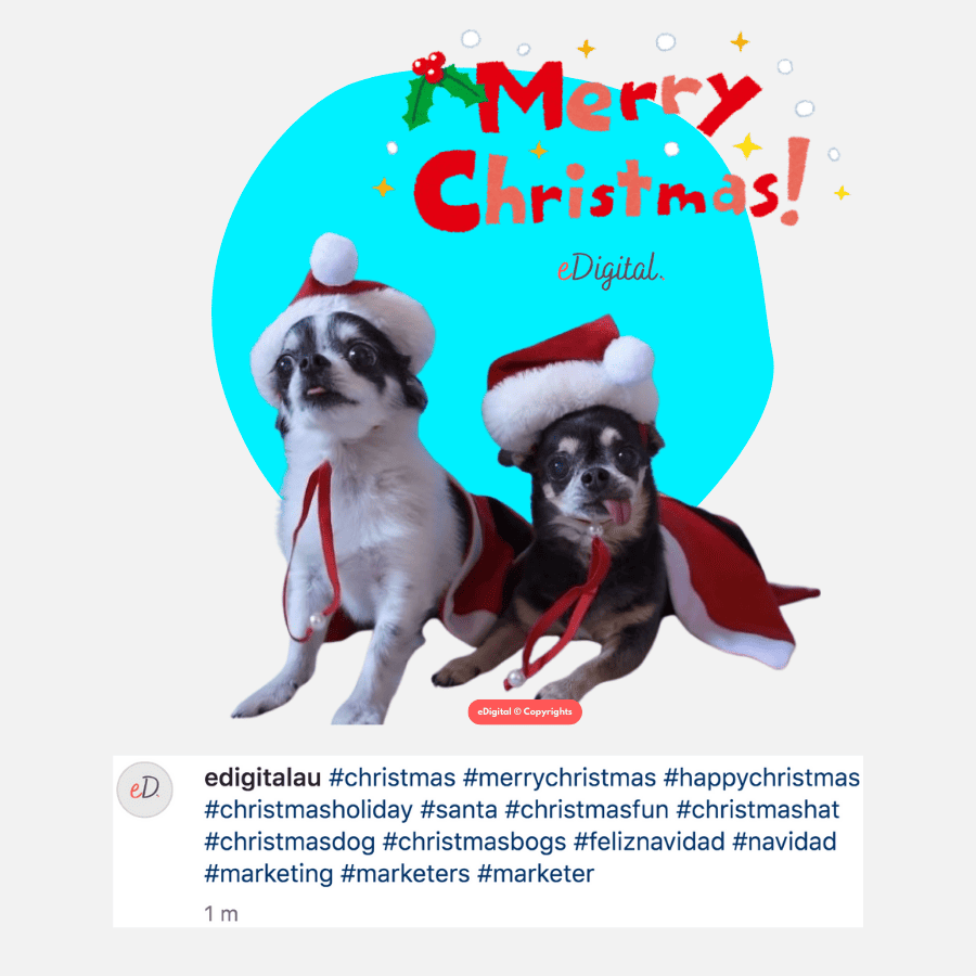 #christmas best Christmas hashtag on Instagram