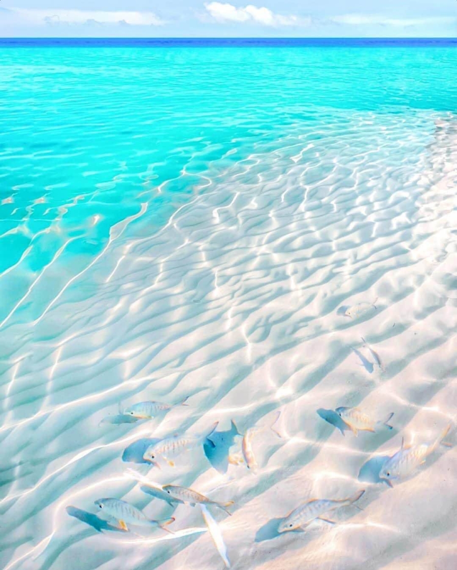 eleuthera islands bahamas ocean water sand beach no filter beautiful crystal clear