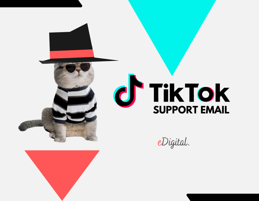 how to contact support on roblox｜TikTok Search