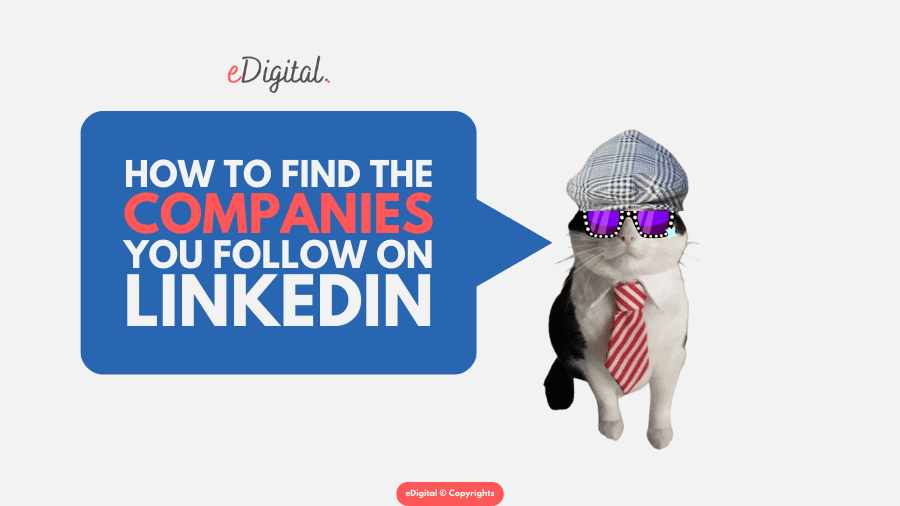 how to find the companies you follow on Linkedin