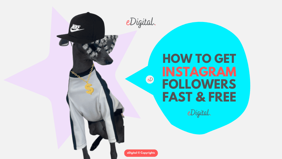 how to get Instagram followers fast free