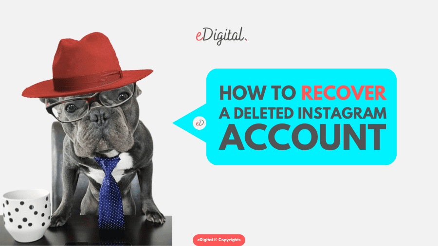 how to recover a deleted Instagram account