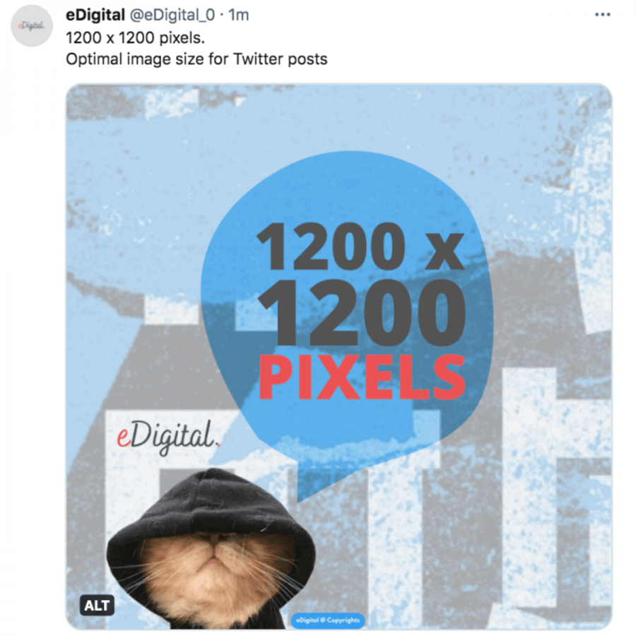 most optimal image size for Twitter posts