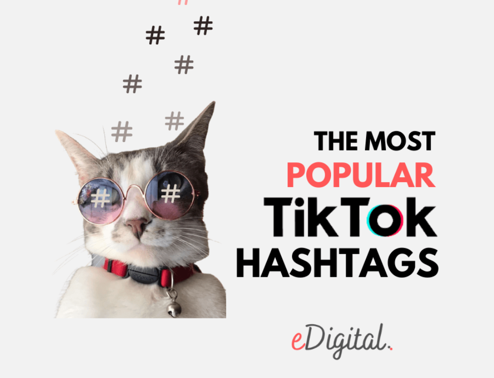 the-top-25-trending-tiktok-hashtags-right-now