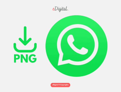 THE NEW WHATSAPP LOGO GREEN PNG 2024