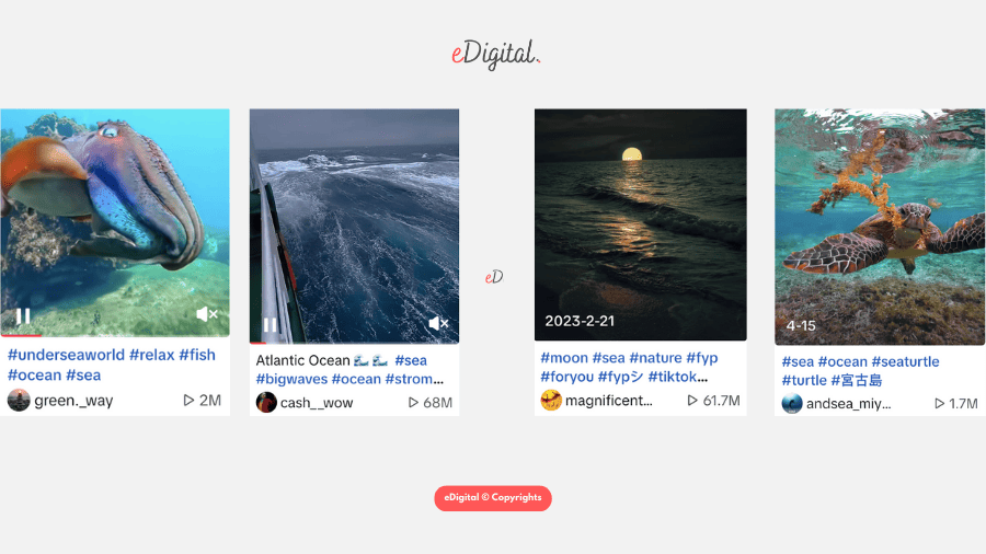 #sea popular nature hashtag on TikTok