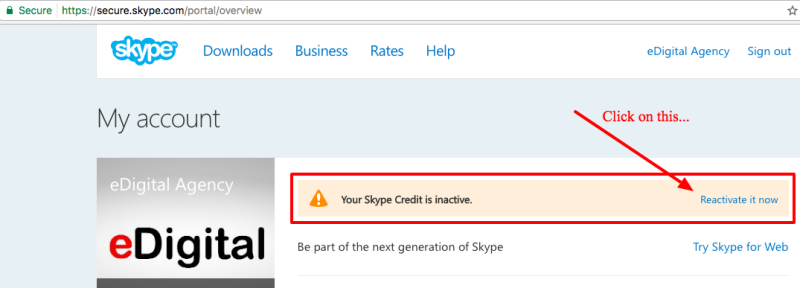 add skype credit