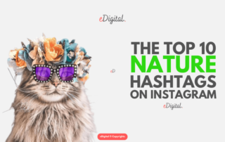 top 10 nature hashtags on Instagram