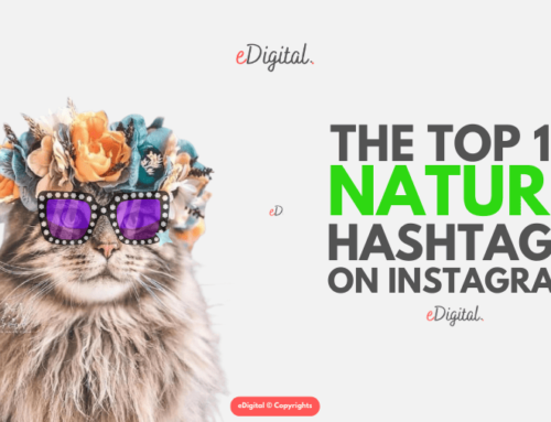 THE TOP 10 MOST POPULAR NATURE HASHTAGS FOR INSTAGRAM IN 2025