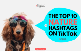 top 10 nature hashtags on TikTok