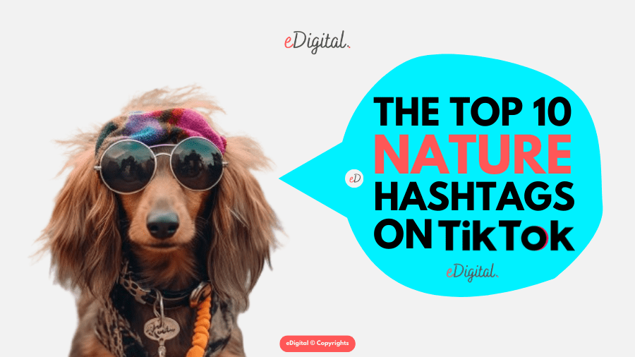 top 10 nature hashtags on TikTok