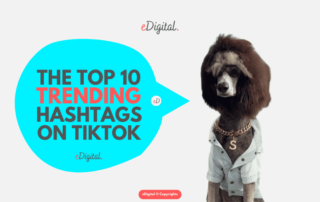 top 10 trending TikTok hashtags right now