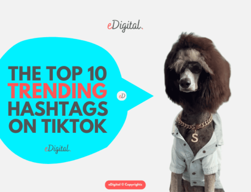 THE TOP 10 TRENDING TIKTOK HASHTAGS RIGHT NOW