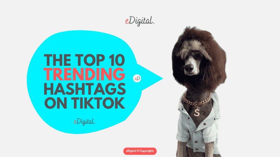 top 10 trending TikTok hashtags right now