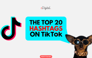top 20 most popular hashtags on TikTok