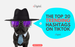 top 20 trending hashtags on TikTok