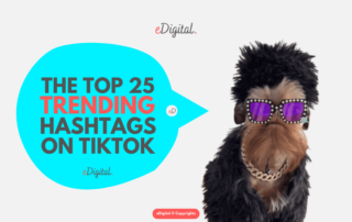 top 25 trending hashtags on TikTok right now