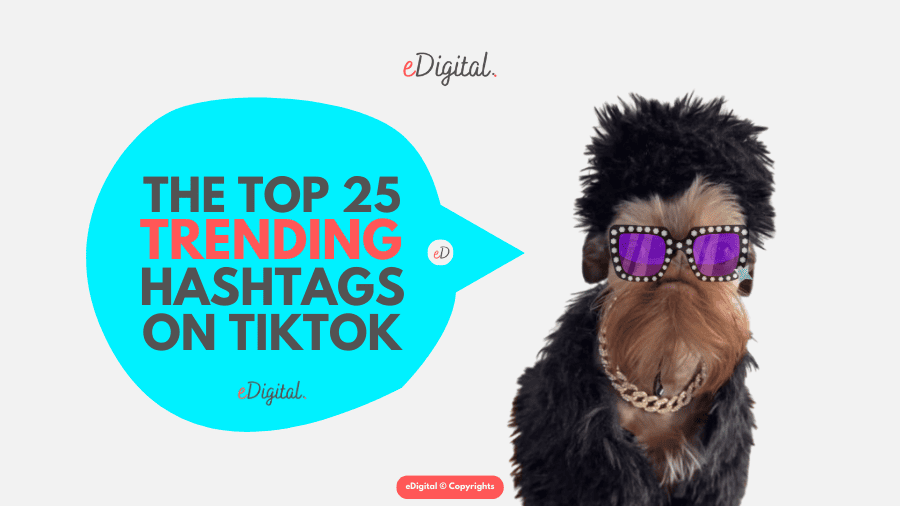 top 25 trending hashtags on TikTok right now