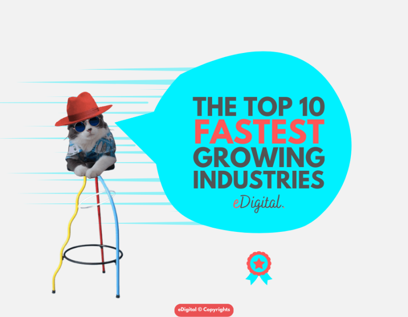 THE TOP 10 FASTEST GROWING INDUSTRIES FOR 2024 LIST PREDICTIONS