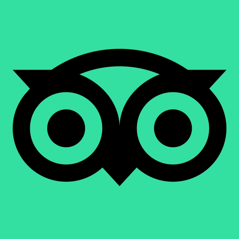 Tripadvisor Logo Icon Black Green Owl Square 800x800 